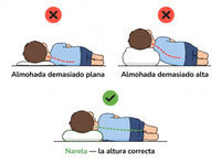 La altura correcta