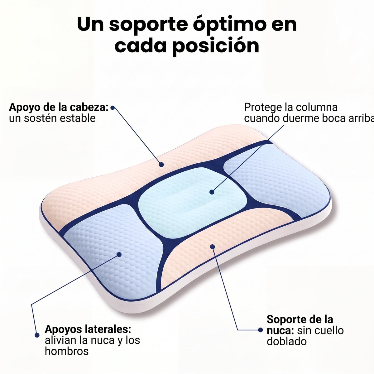 Un soporte óptimo en cada posición